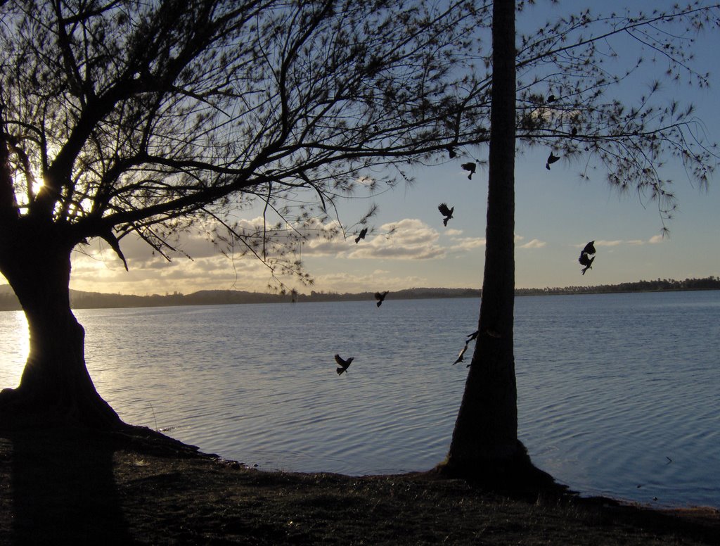 Laguna tortuguero by drcalligari