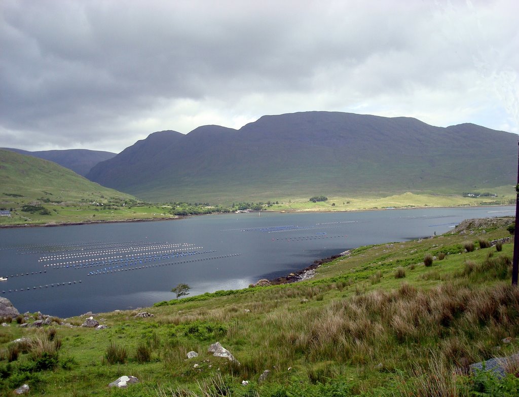 Killary Bay - with Mussel Rafts (thanks for Pam's info!) by Hazel Coetzee