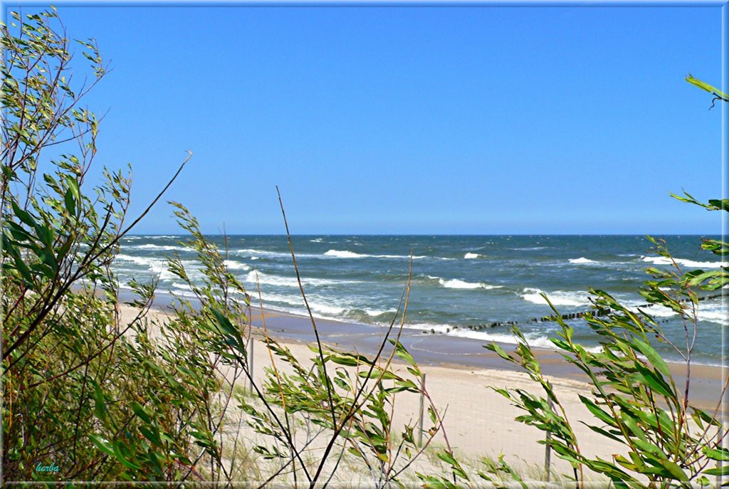 An der Ostsee in Dziwnow, Polen, früher Divenow / Pommern by herba