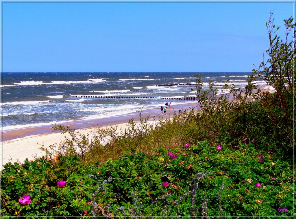 Am Ostseestrand bei Dziwnow in Polen, früher Seebad Divenow in Pommern by herba