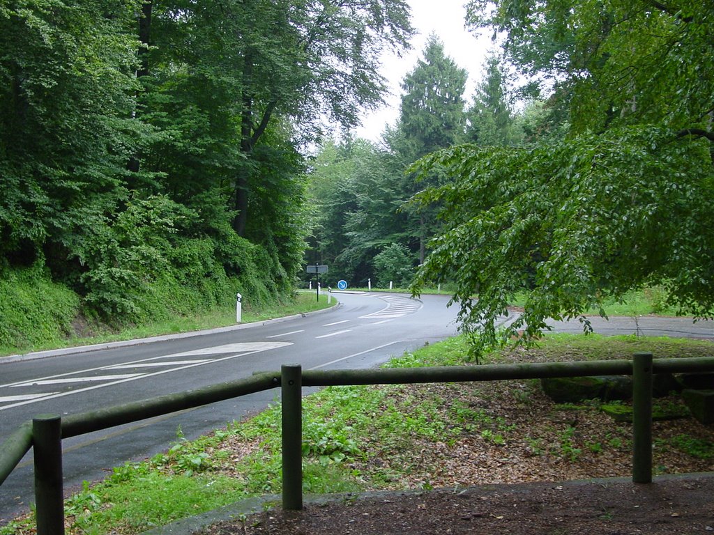 Col du Pigeonnier, près de Wissembourg, août 2004 by kapadnon