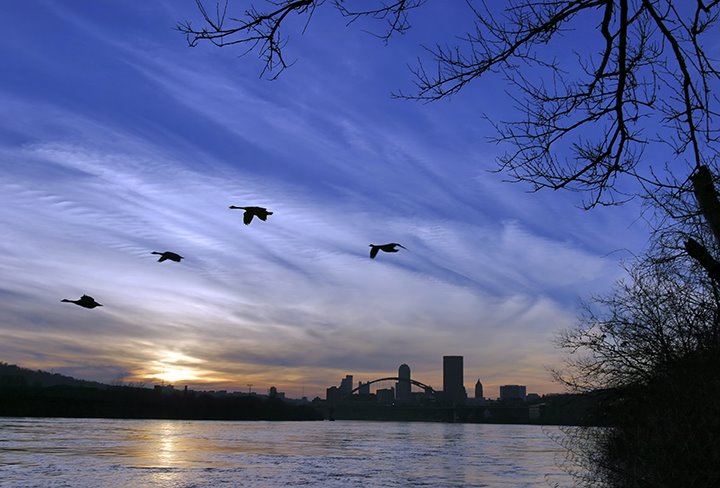 Pittsburgh Sunset by Ron Lutz II