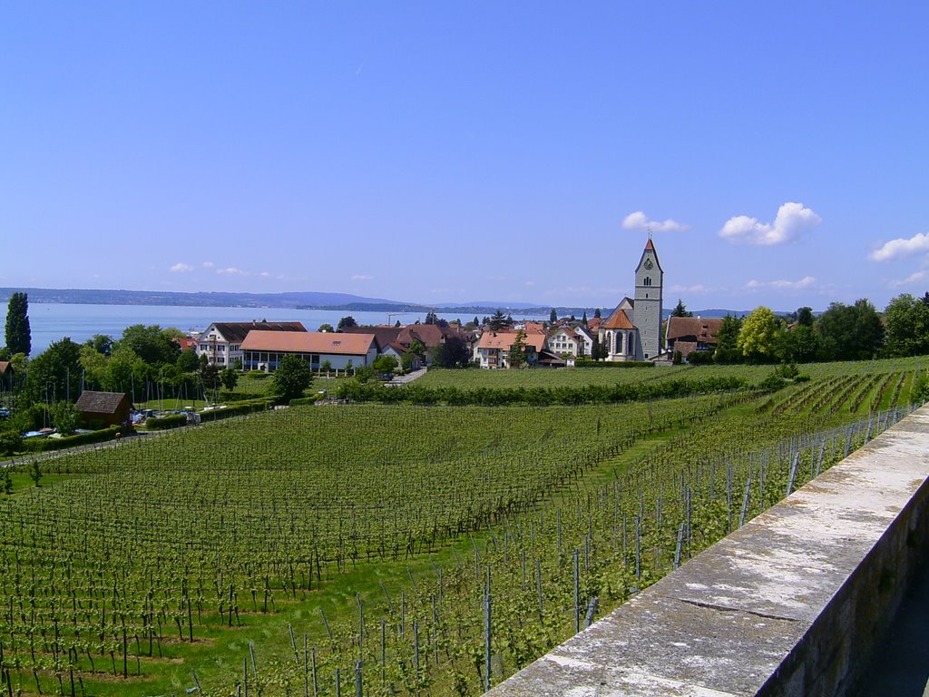 F - Birnau, Lake of Constanze by P.H.F.