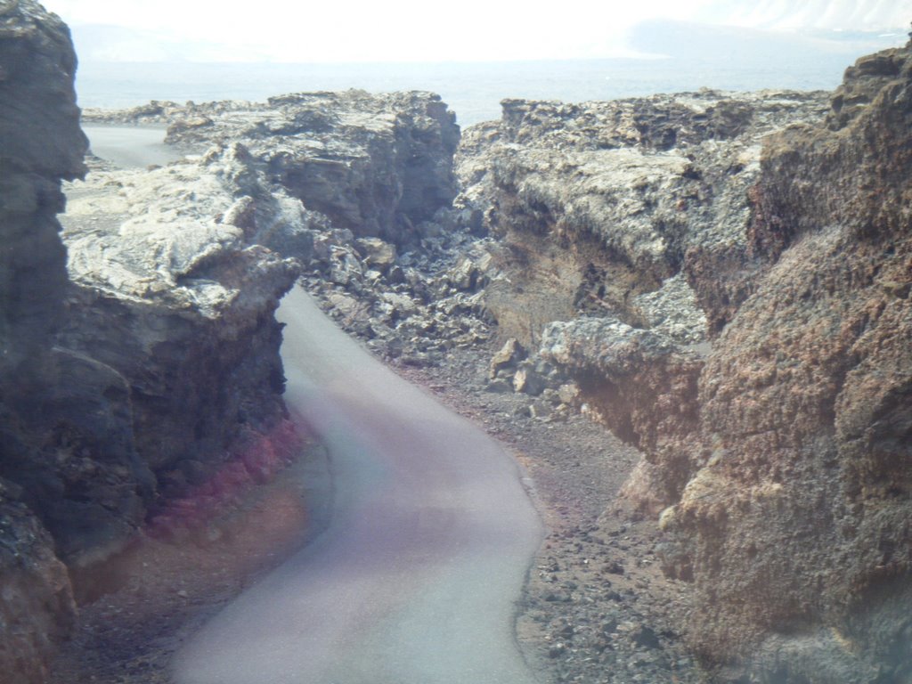 Open lava tunnel, Lanzarote, July 2009. by C.D.B.