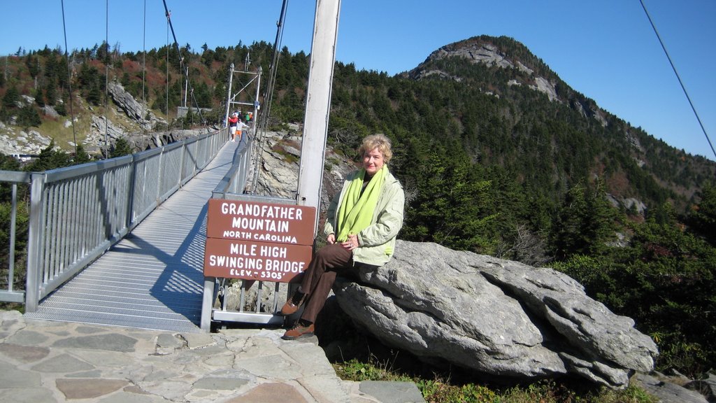 The stats for Grandfather Mountain, (for Mary Alice) by Sarah O