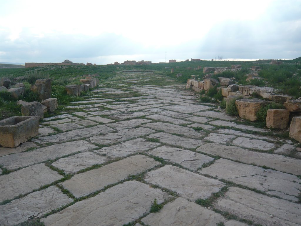 Chemin romain de carthage a tebessa by Haroun  Khalfaoui