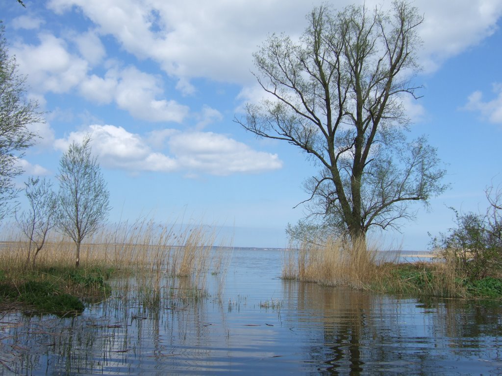 Radwanderweg am Achterwasser by eifelbear