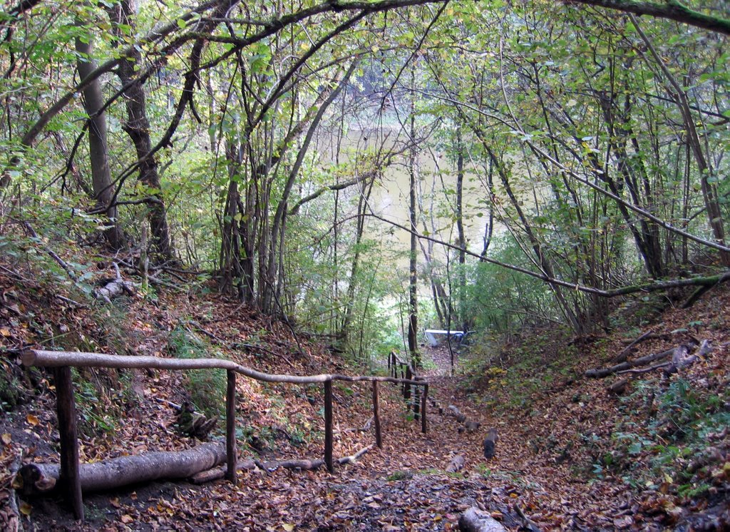 View downhill from Skališkių cave to the river Neris (October 1, 2006) by Tadas Meskauskas