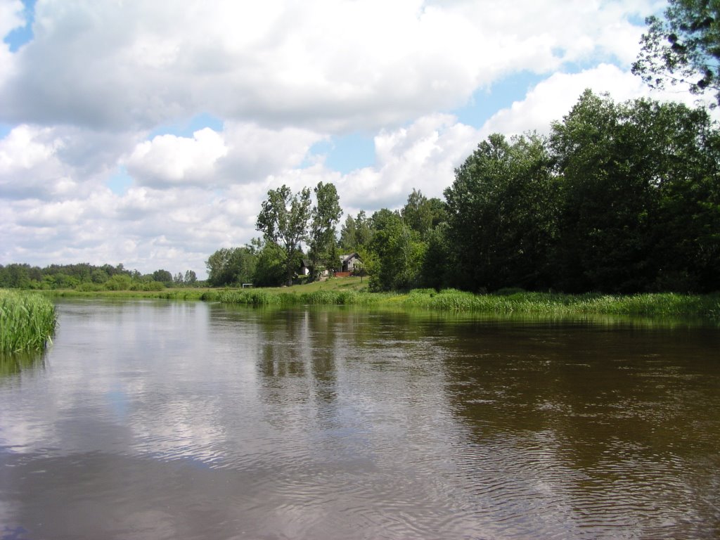 View from the island to east bank of Wkra river by Mariusz Bladek