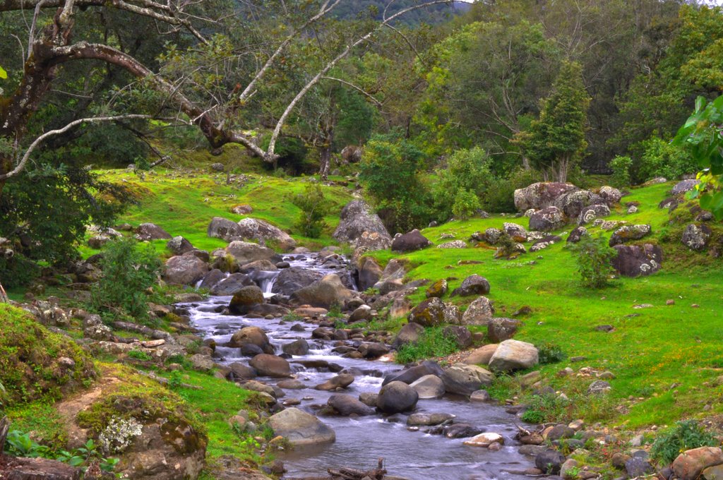 Peaceful place by Fabricio Rojas