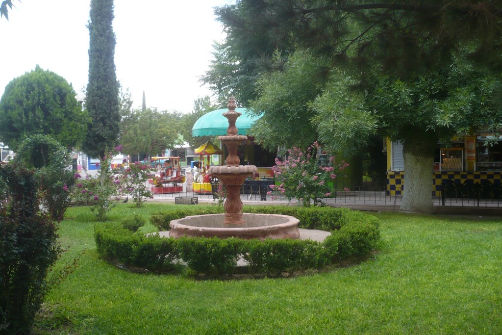 Centro, Cd Camargo, Chih., Mexico by Heri P. Salazar