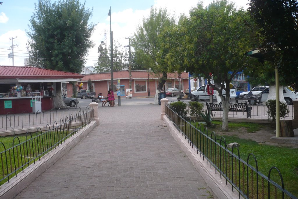 Centro, Cd Camargo, Chih., Mexico by Heri P. Salazar