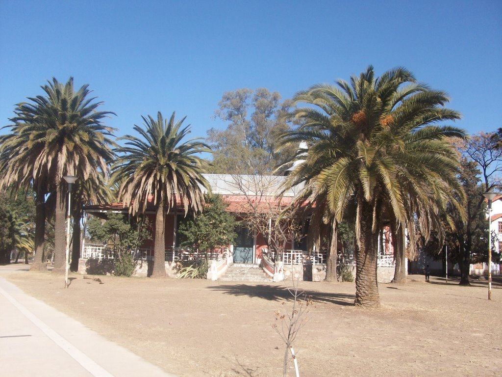 Ciudad universitaria. (foto: Frank Boore).- by •Frank Boore•