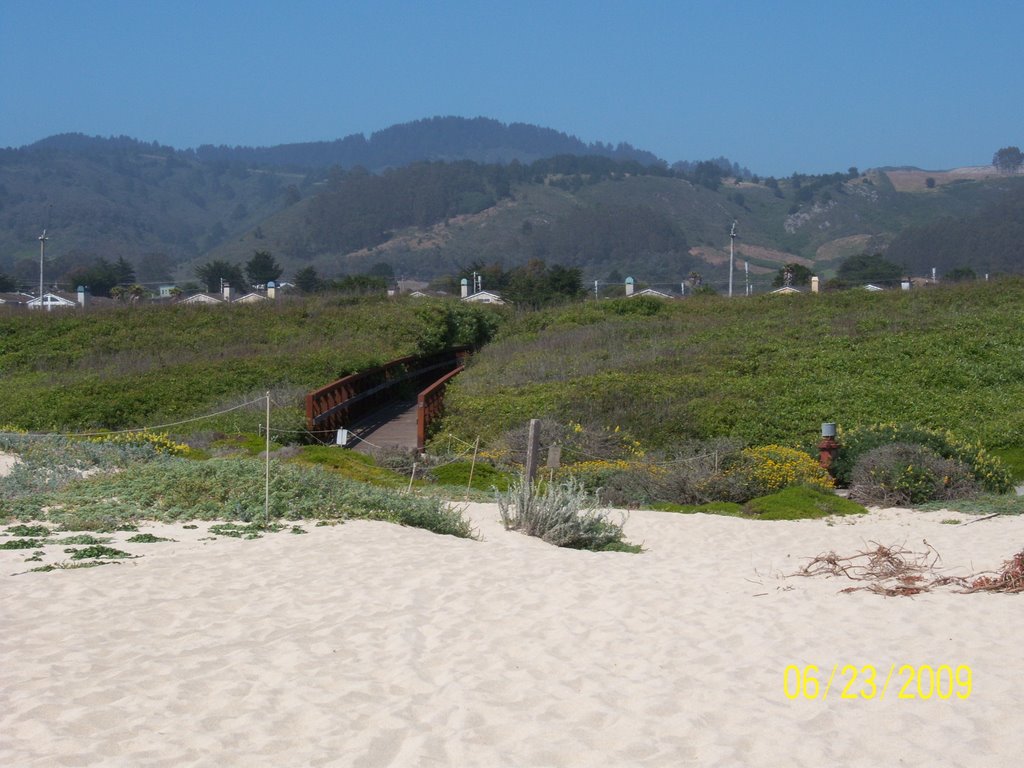 Half Moon Bay State Beach by Trina Maeser