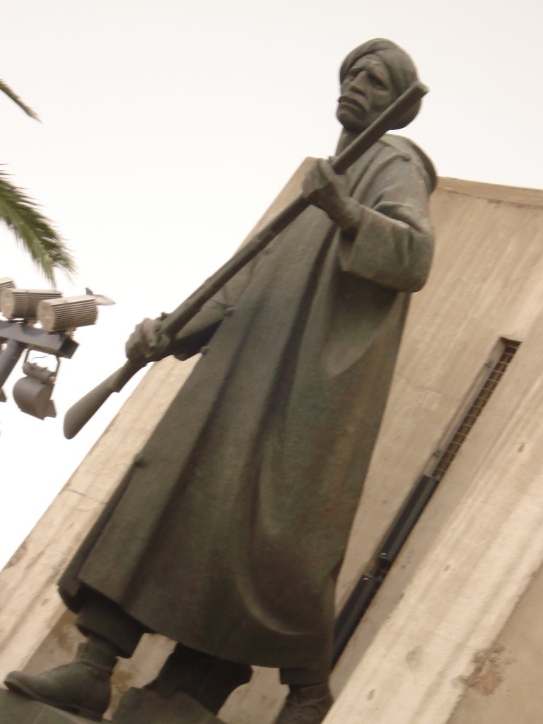 A Statue at the Monument in Algiers by h_rahat