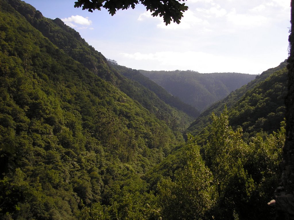 Valle del Eume desde el Monasterio de Caaveiro by daniarmo