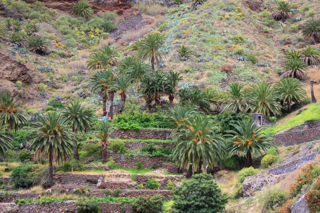 ISLA DE LA GOMERA by Paco Roldán Arjona