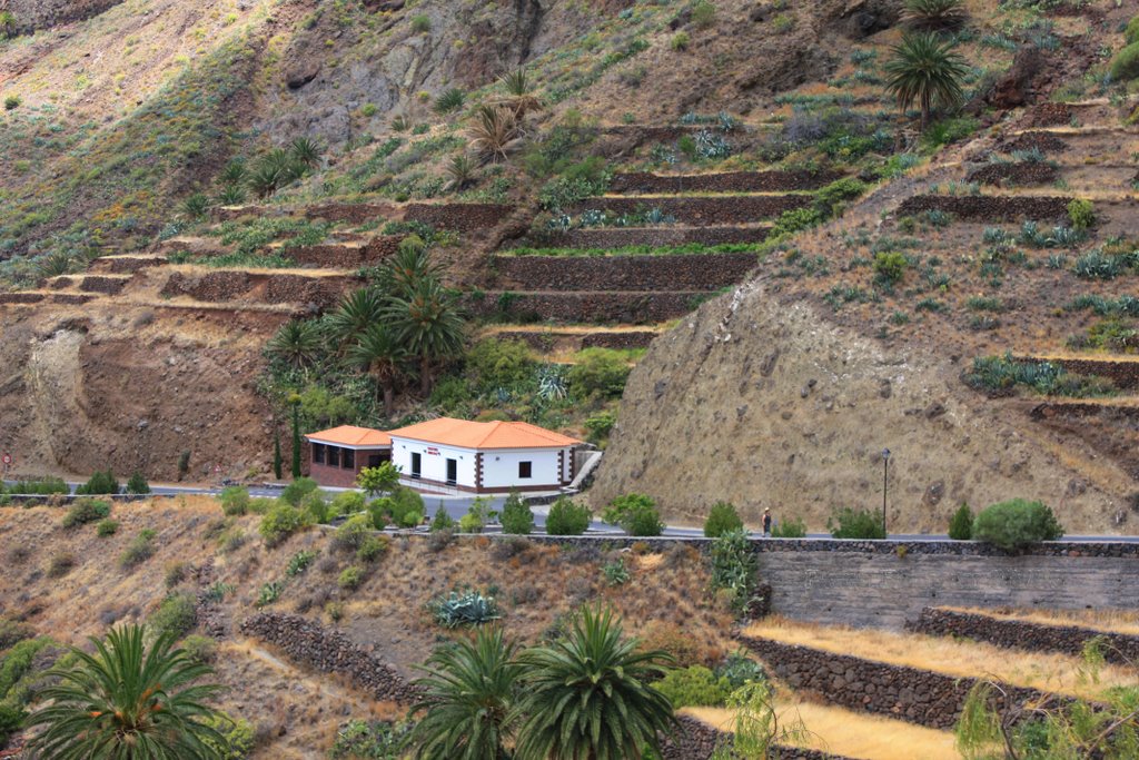 ISLA DE LA GOMERA by Paco Roldán Arjona