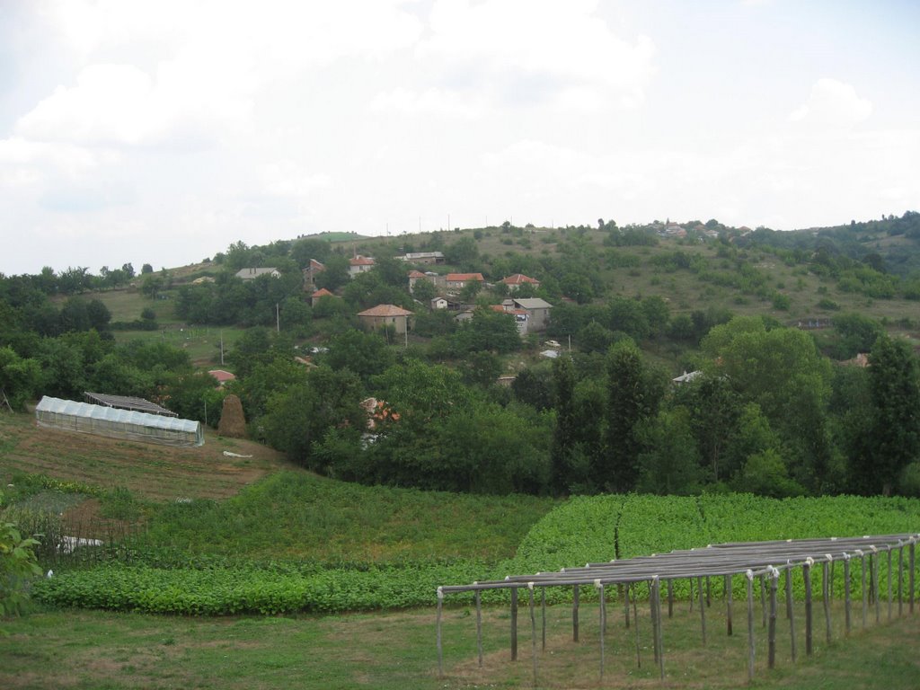 Osmanlar (Badevitsa) by Veysel OZTURK