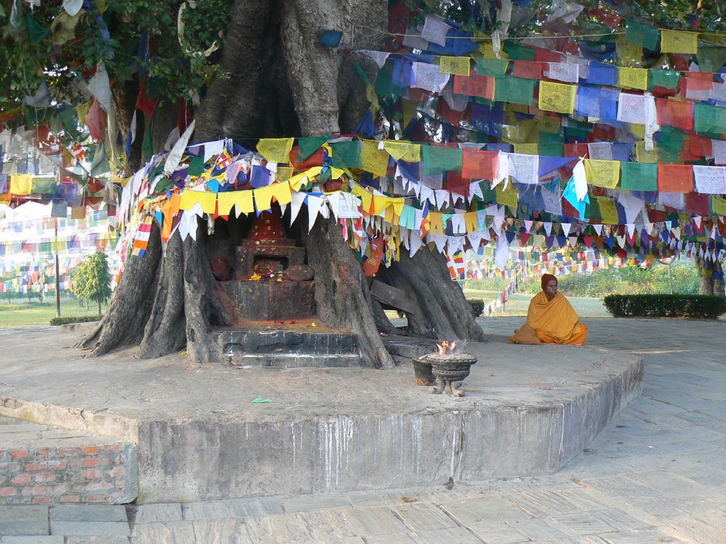 Lumbini Development Trust, Lumbini Sanskritik 32900, Nepal by Klimke