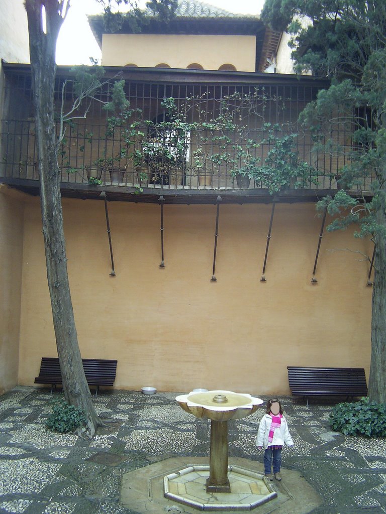 Patio de la reja, Palacio de los Nazaríes, Alhambra de Granada by aaes