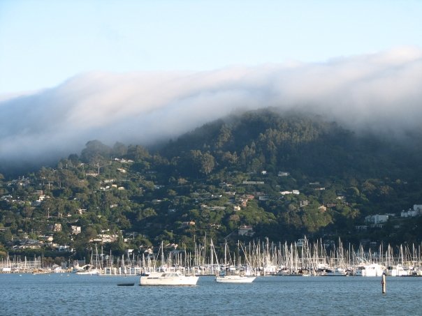 Saulsalito Docks by Linville