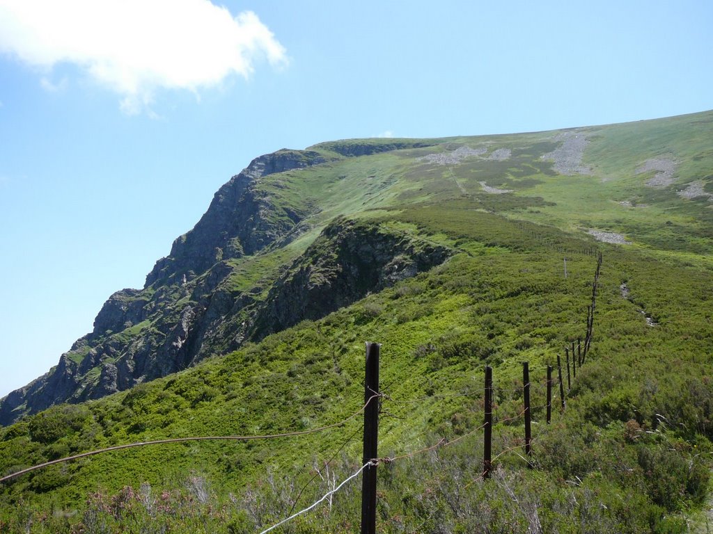 MUSTALLAR SUBIENDO - Ancares - Lugo - España - by pisaleiras