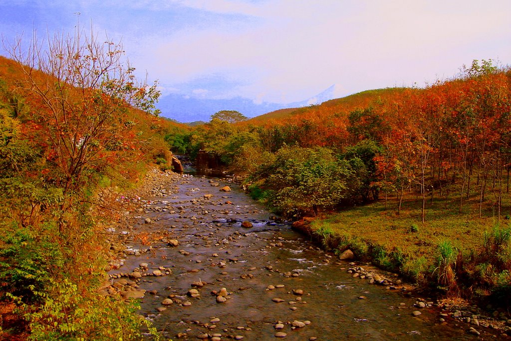 Río Nil, El Asintal, Reu. by J.J. Canteli