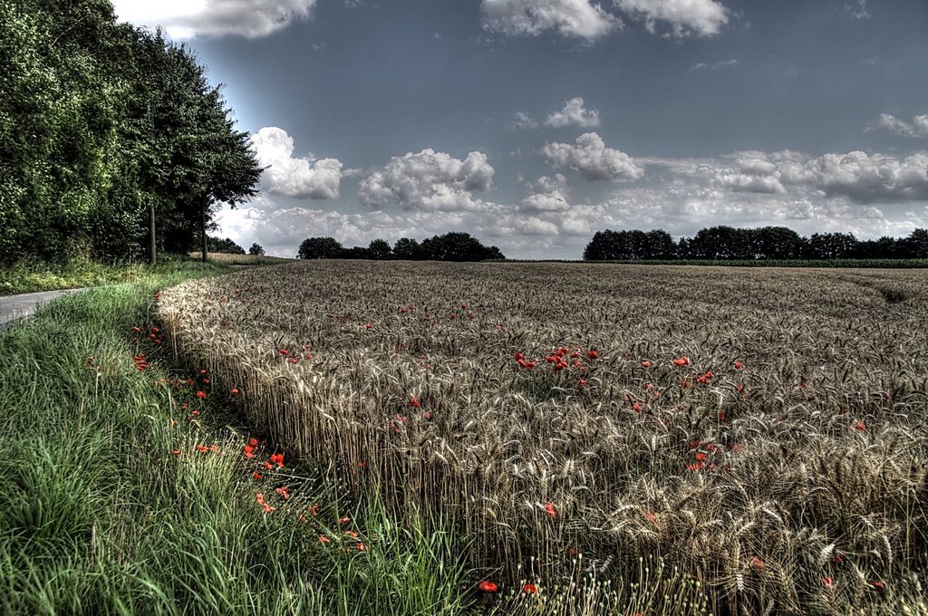 Borschemich, 41812 Erkelenz, Germany by Ralf Es