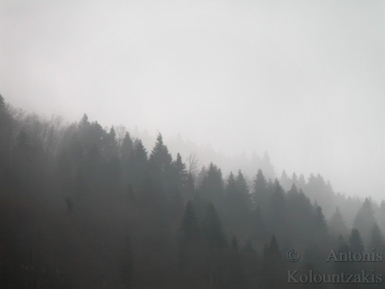 Foggy by Antonis Kolountzakis