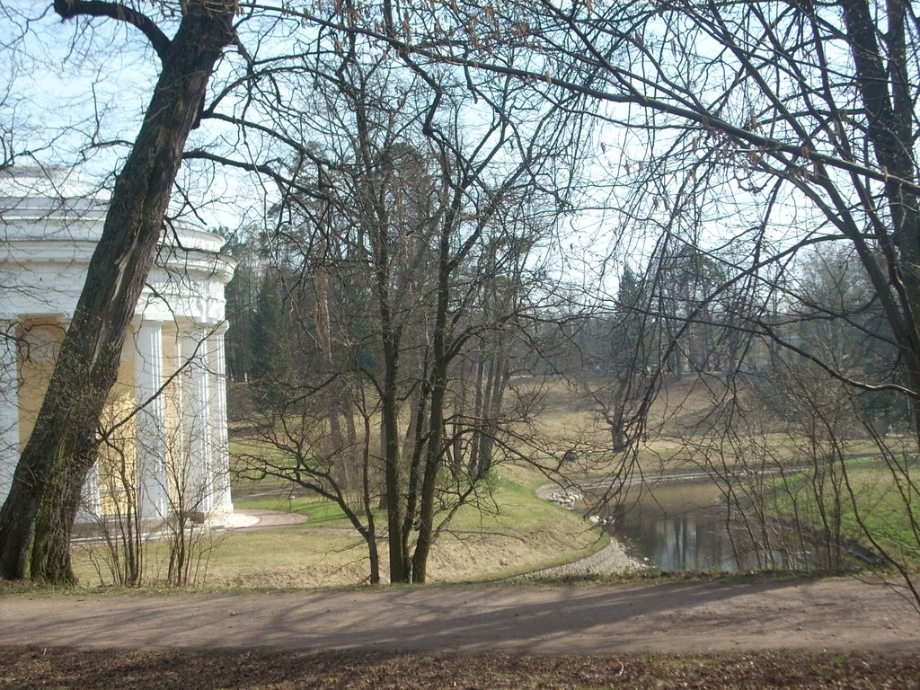 Pavlovsk by Mihail Rusanov