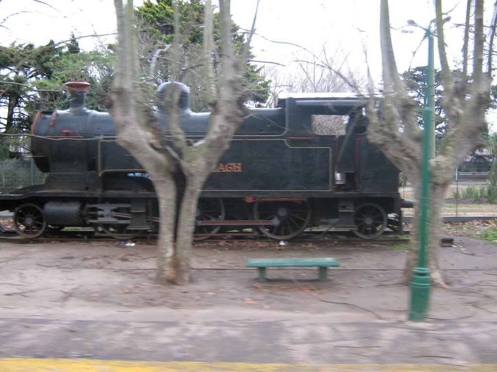 La Locomotora 2-6-2 de la Estacion Ranelagh, The Steam 2-6-2 Locomomotive in Ranelagh Railway Station, by ALE777 by ALE777