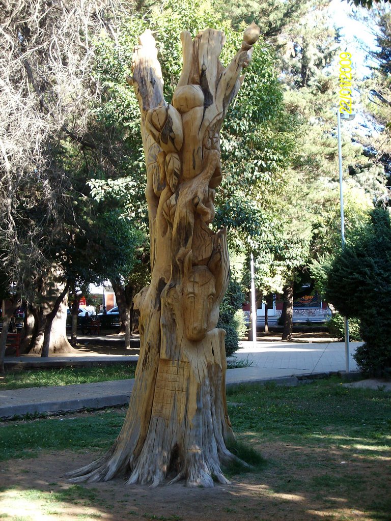 Escultura En Árbol Plaza Central by MathNqn