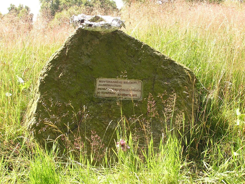 The memorial of Hlinik, Hora sv. Kateřiny, Krušné hory by radlensarseb