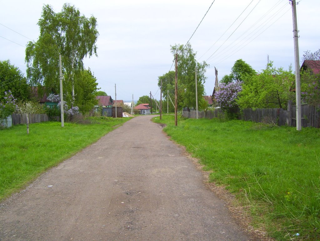 Karl Marx St. looking towards the Volga by kriukov