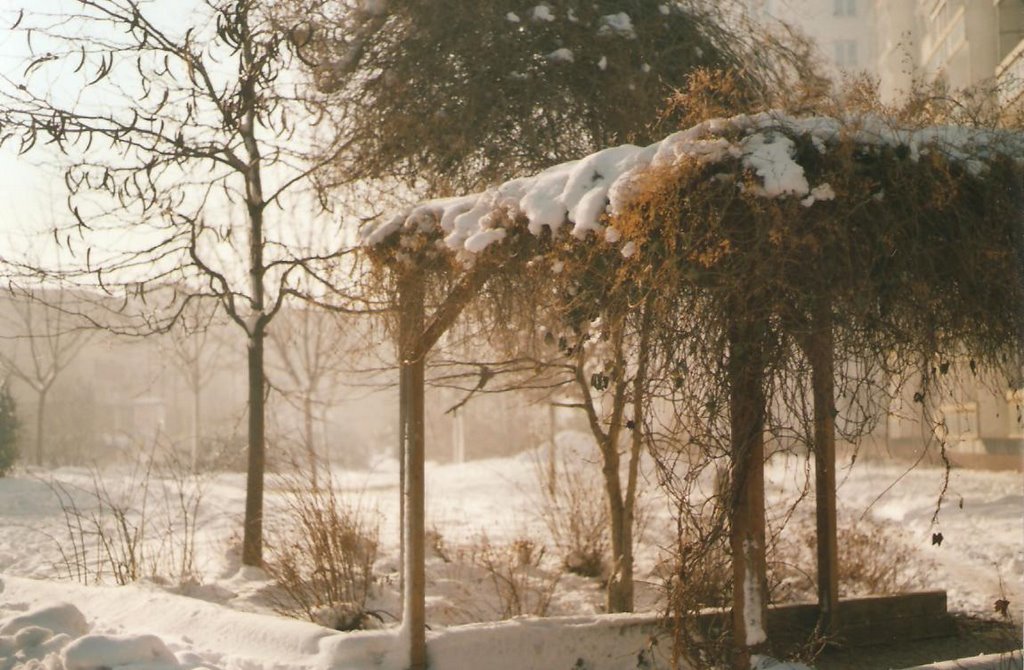 Zima v Opavě - Kateřinkách (Winter in Opava - Kateřinky), Czech Republic by MAPP HUDRANS