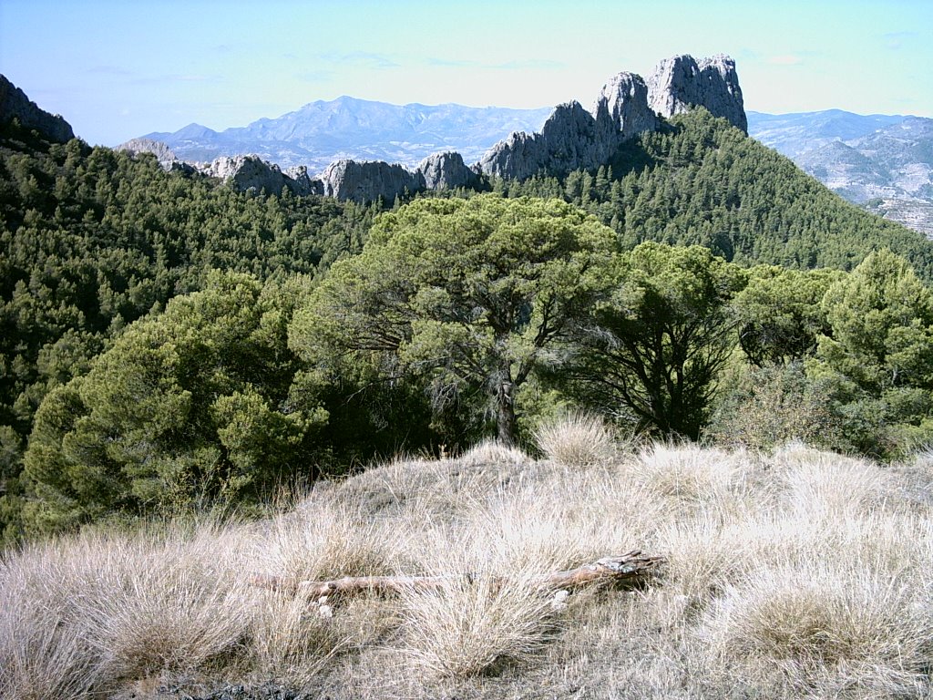 Spanish Landscape - Sacarest by Peaceman