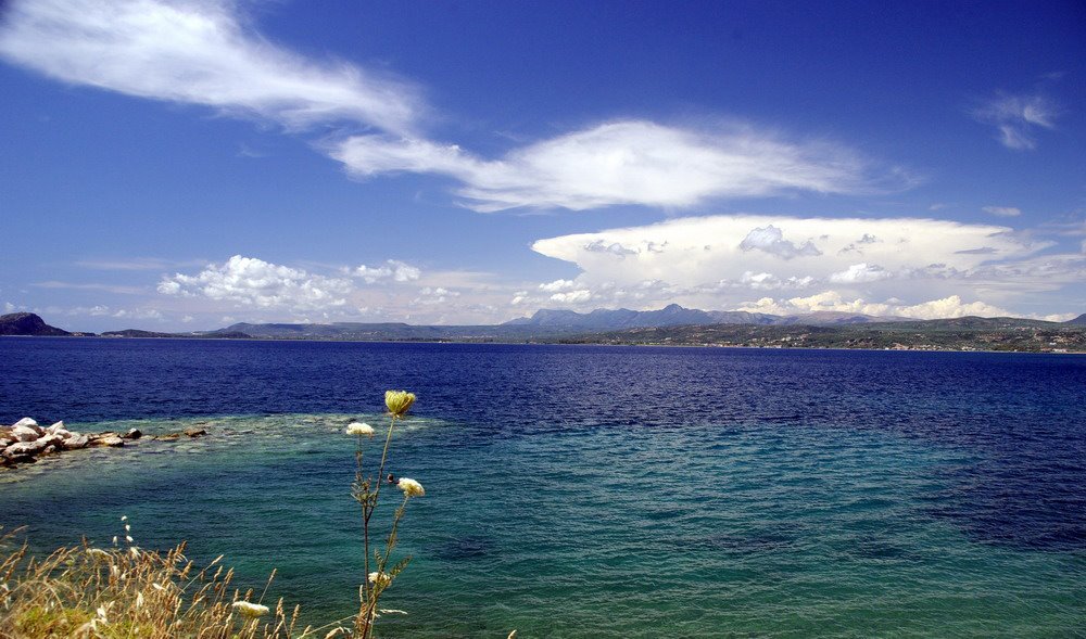 La baia di Navarino dal porto di Pylos by paolo polidori