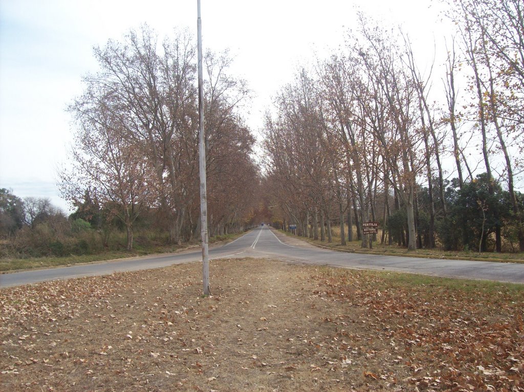 Entrada a Colonia Caroya. (foto: Frank Boore).- by •Frank Boore•