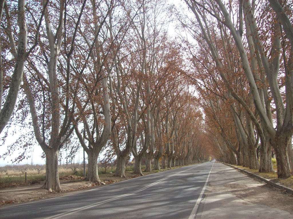 Entrada a Colonia Caroya. (foto: Frank Boore).- by •Frank Boore•