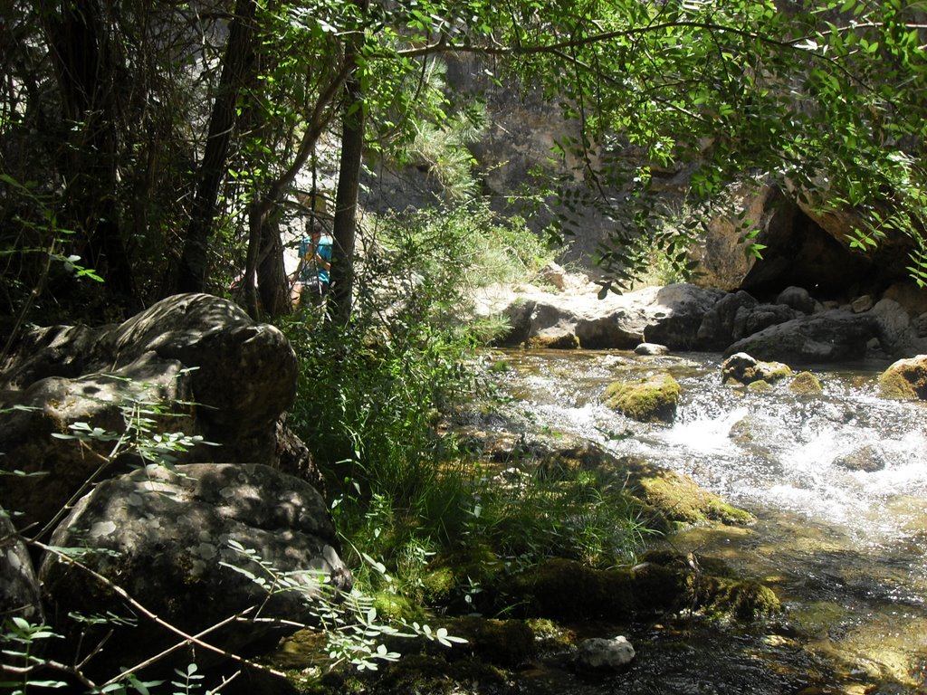 Nacimiento del río Borosa by josefcerezo