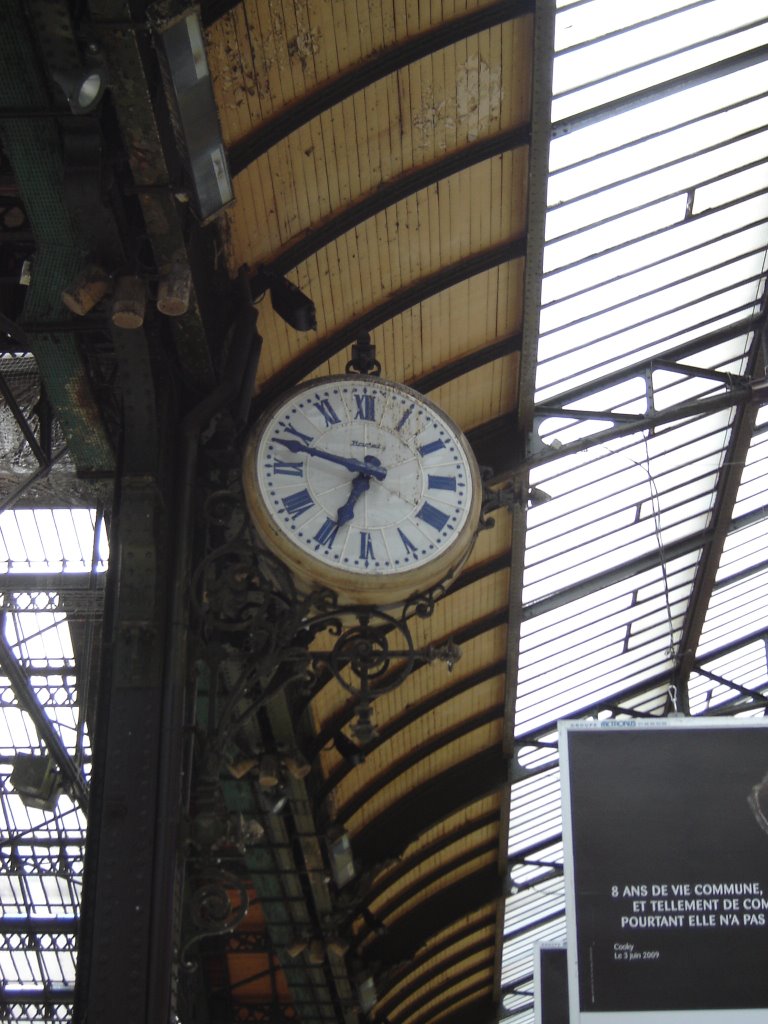 Gare de Lyon by Cristina Sottile