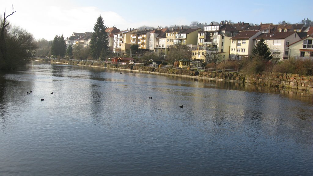 Eutingen an der Enz by ZumSehenGeboren