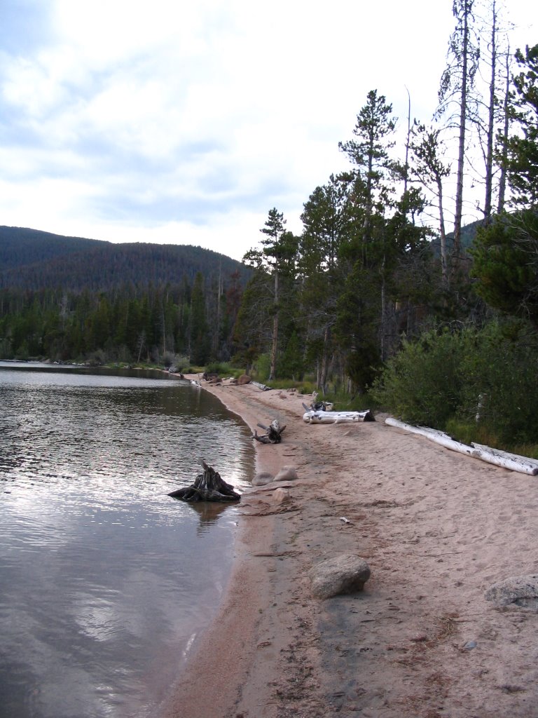 Big Creek Lake Shoreline by smitty4thgen