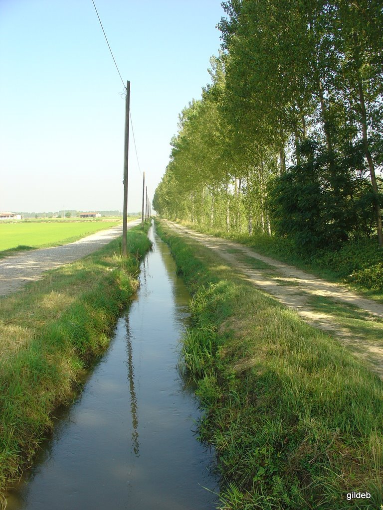 Canale irrigazione by gildeb