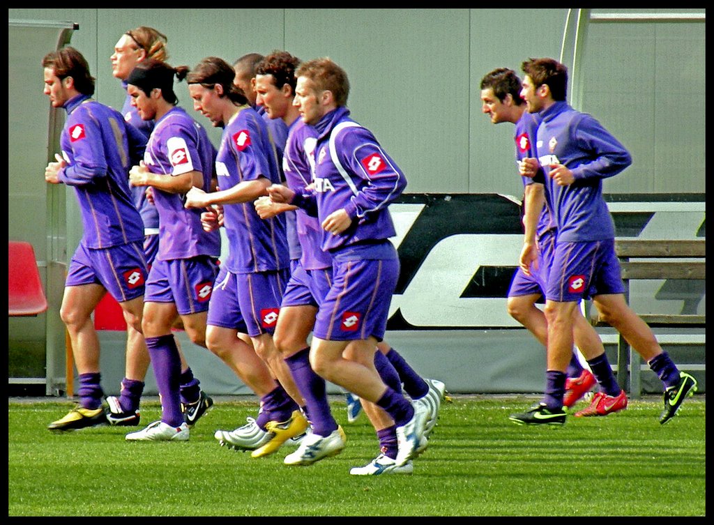 Fiorentina 2008/09....© by leo1383 by leo1383