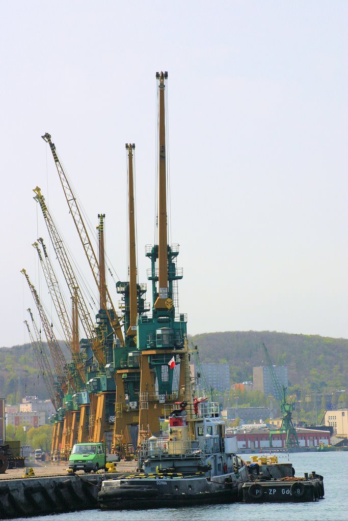 Cranes in Gdynia by fishheads