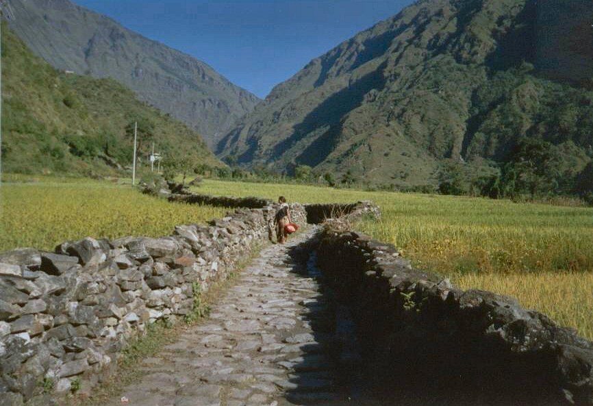 Campi a Dana, Kali Gandaki Valley, Nepal centrale, ottobre 1995 by Marco Carnelli