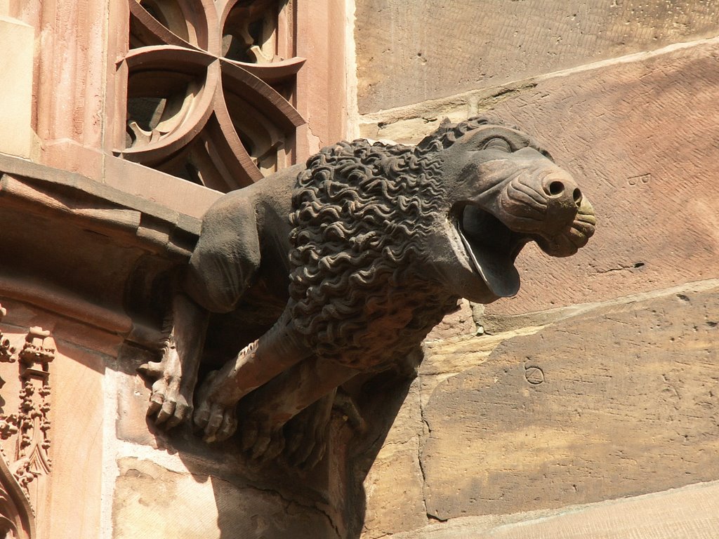 Lion in Strasbourg by Frank Pustlauck