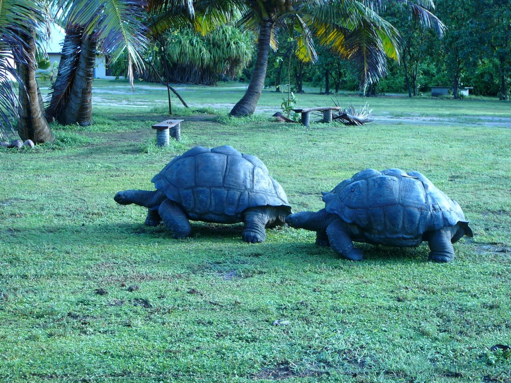 Seychelles Bird Island by Anke Kleemann